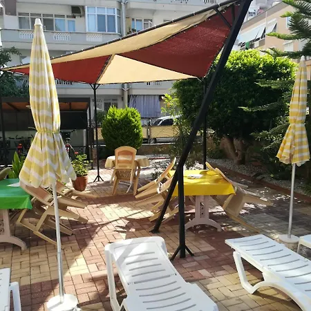 Super Luxus Strand Euro Golden 13 In